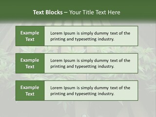 Hemp Organic Room PowerPoint Template