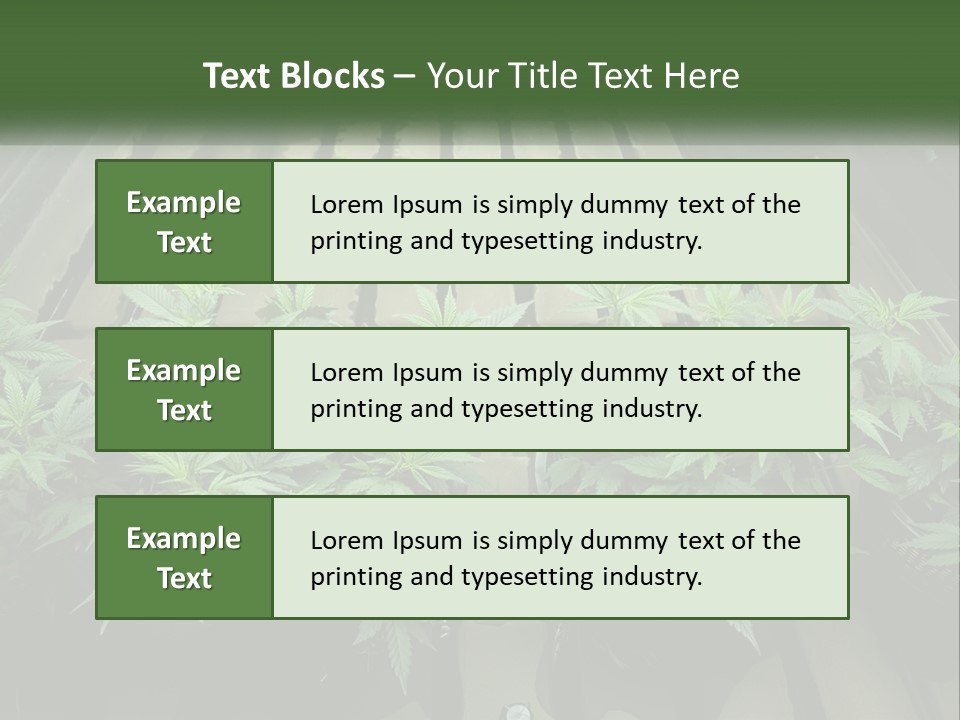 Hemp Organic Room PowerPoint Template