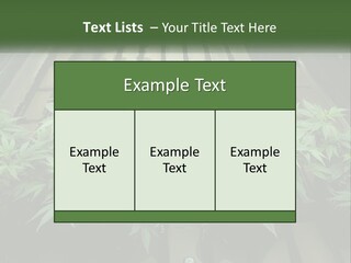 Hemp Organic Room PowerPoint Template