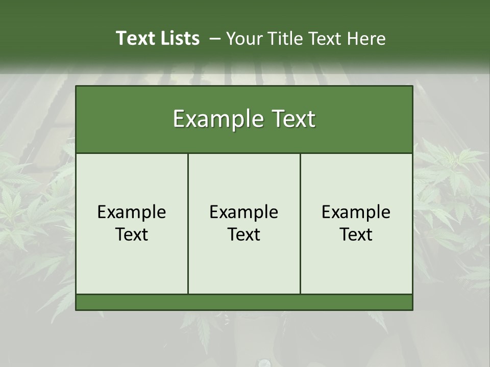Hemp Organic Room PowerPoint Template