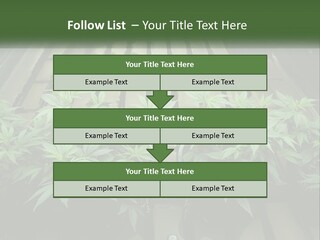 Hemp Organic Room PowerPoint Template