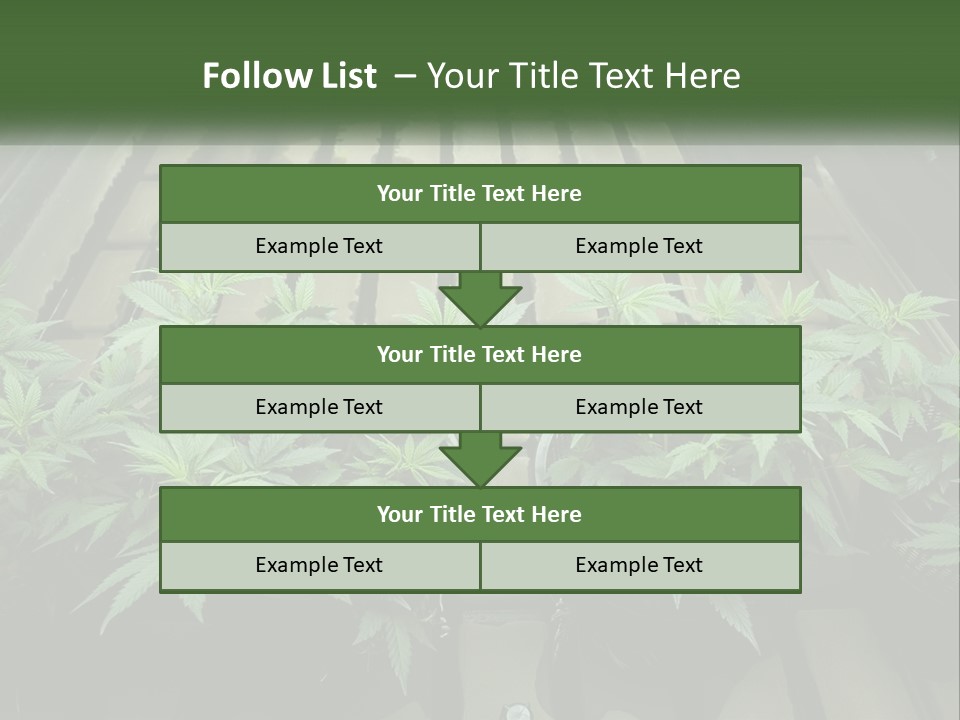 Hemp Organic Room PowerPoint Template
