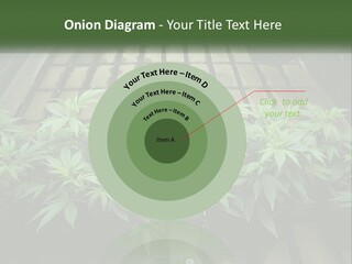 Hemp Organic Room PowerPoint Template