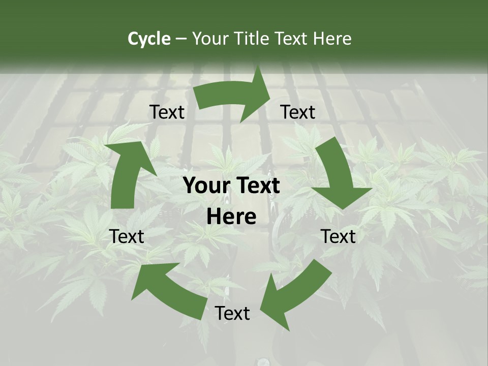 Hemp Organic Room PowerPoint Template