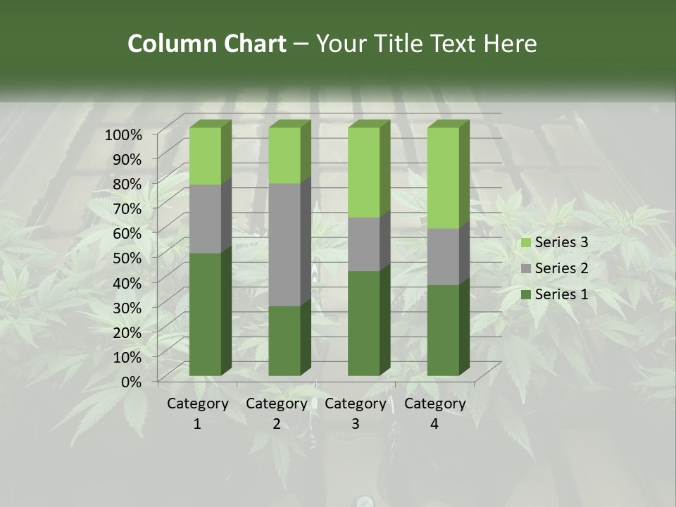 Hemp Organic Room PowerPoint Template