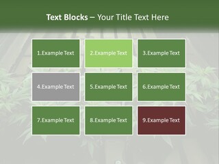 Hemp Organic Room PowerPoint Template