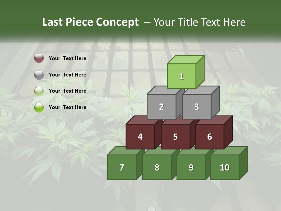 Hemp Organic Room PowerPoint Template