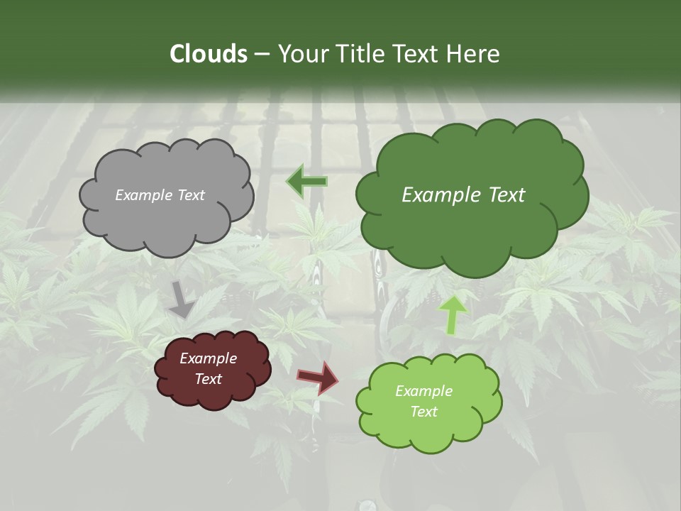 Hemp Organic Room PowerPoint Template