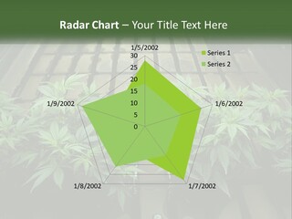 Hemp Organic Room PowerPoint Template