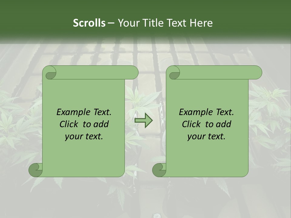 Hemp Organic Room PowerPoint Template