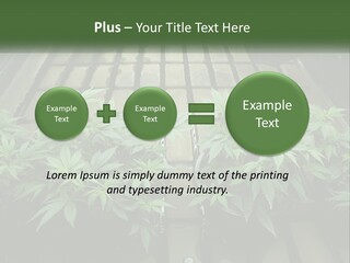 Hemp Organic Room PowerPoint Template