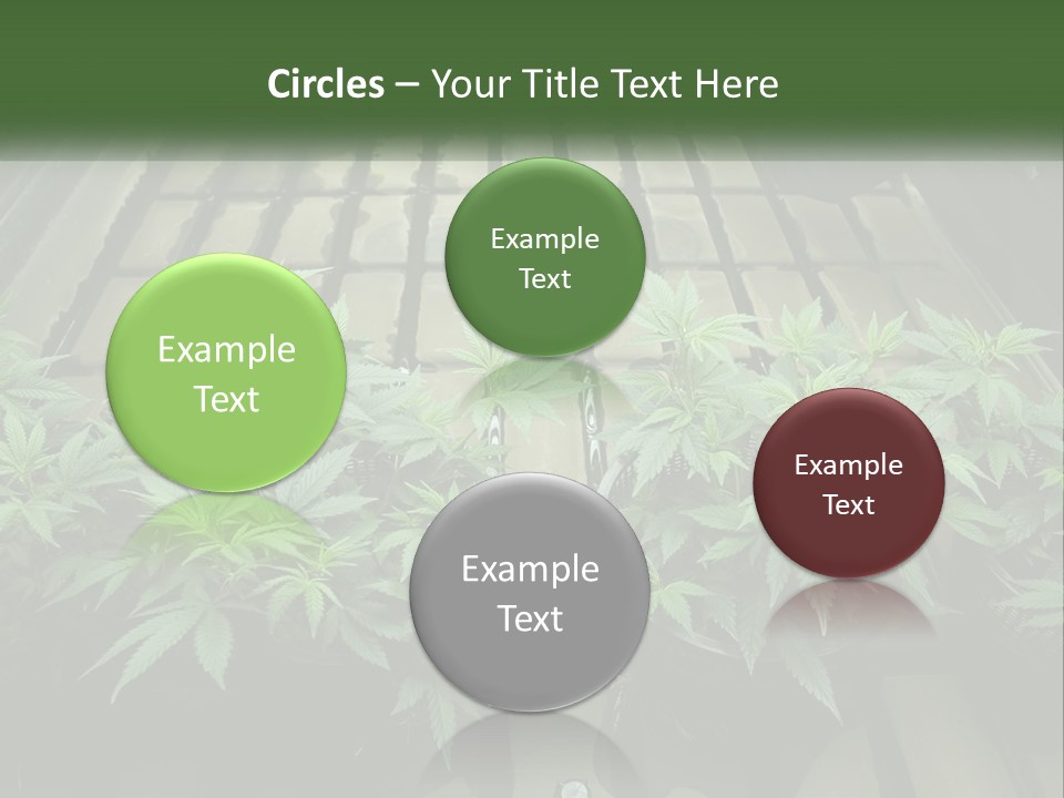 Hemp Organic Room PowerPoint Template