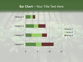 Hemp Organic Room PowerPoint Template