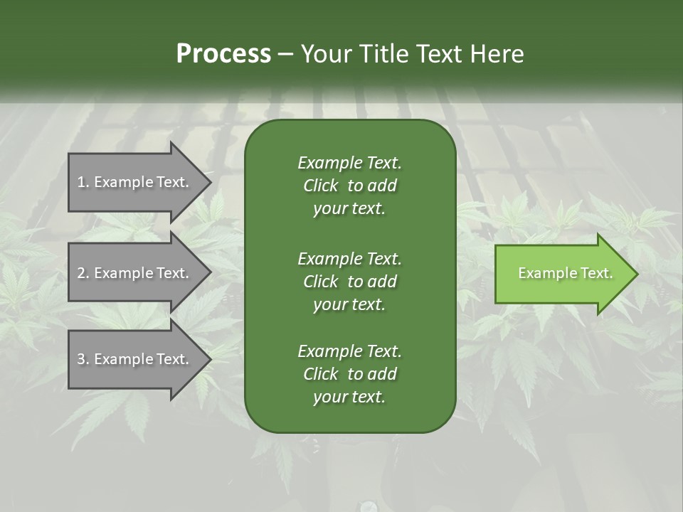 Hemp Organic Room PowerPoint Template