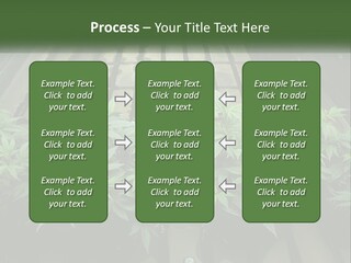 Hemp Organic Room PowerPoint Template