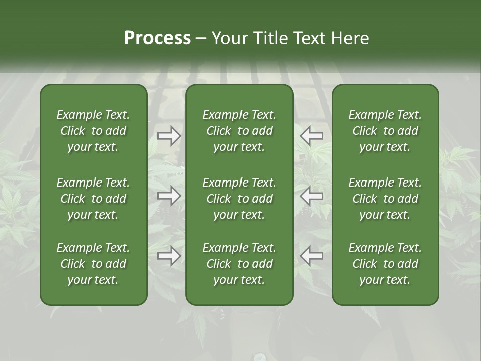 Hemp Organic Room PowerPoint Template