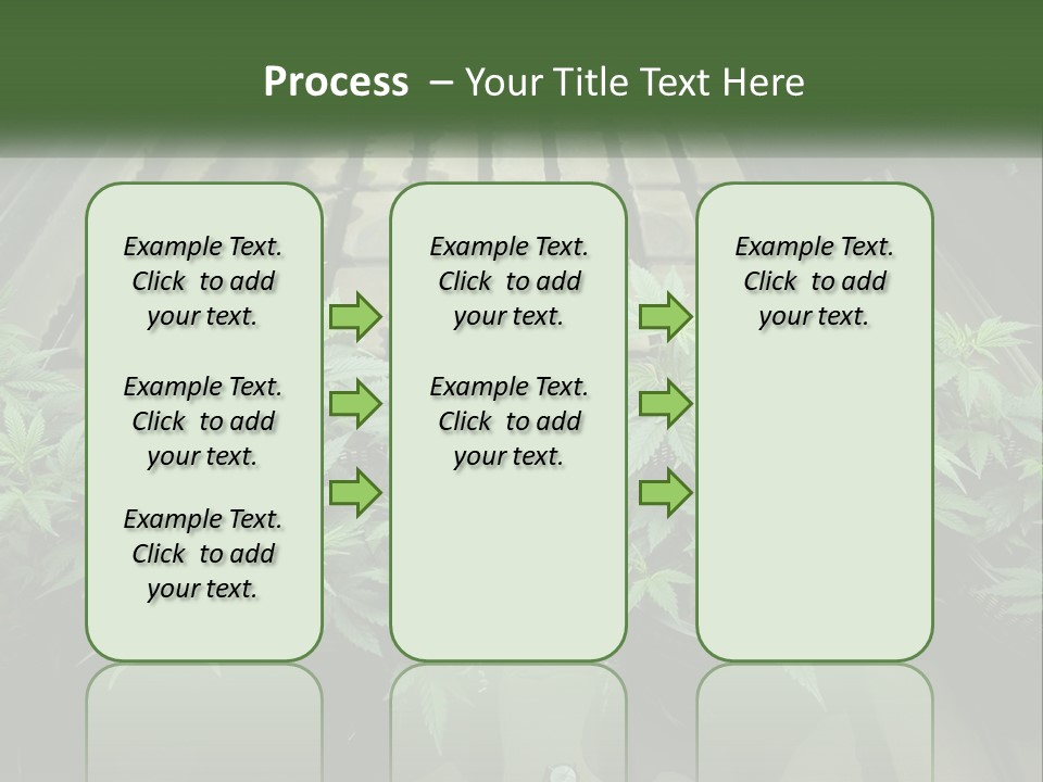 Hemp Organic Room PowerPoint Template