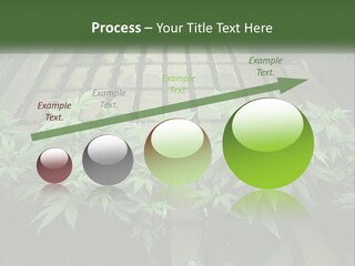Hemp Organic Room PowerPoint Template