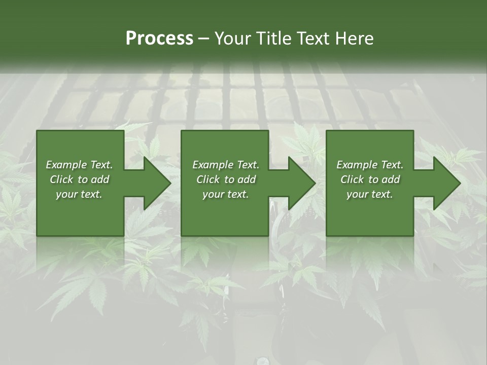 Hemp Organic Room PowerPoint Template