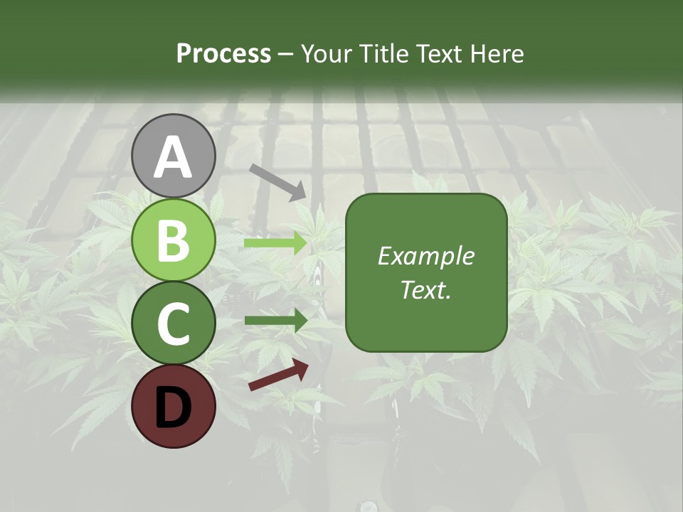 Hemp Organic Room PowerPoint Template