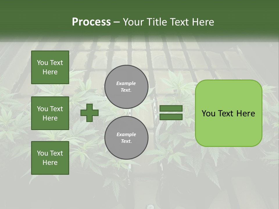 Hemp Organic Room PowerPoint Template