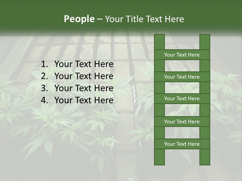 Hemp Organic Room PowerPoint Template
