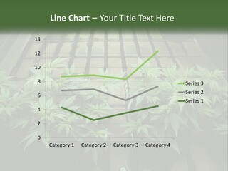 Hemp Organic Room PowerPoint Template