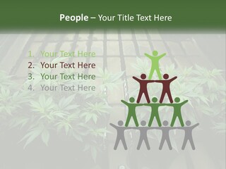 Hemp Organic Room PowerPoint Template
