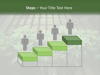 Hemp Organic Room PowerPoint Template