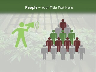 Hemp Organic Room PowerPoint Template