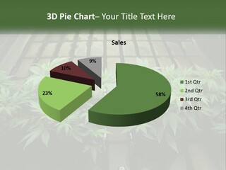 Hemp Organic Room PowerPoint Template