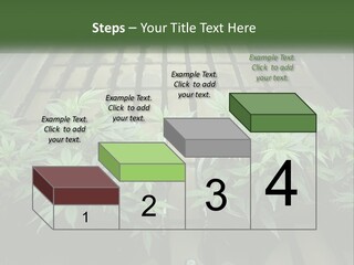 Hemp Organic Room PowerPoint Template