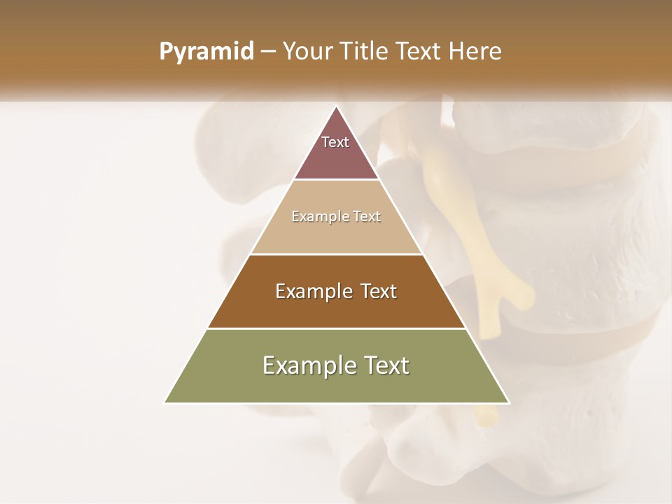 Exercise Arthroscopy Knee PowerPoint Template