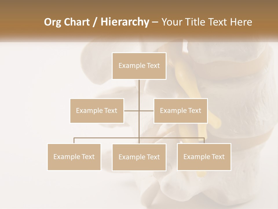 Exercise Arthroscopy Knee PowerPoint Template