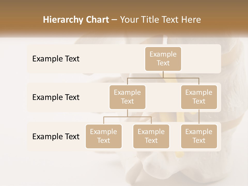 Exercise Arthroscopy Knee PowerPoint Template