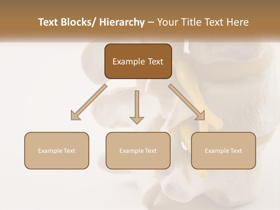 Exercise Arthroscopy Knee PowerPoint Template