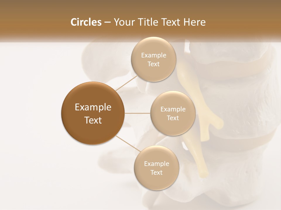 Exercise Arthroscopy Knee PowerPoint Template
