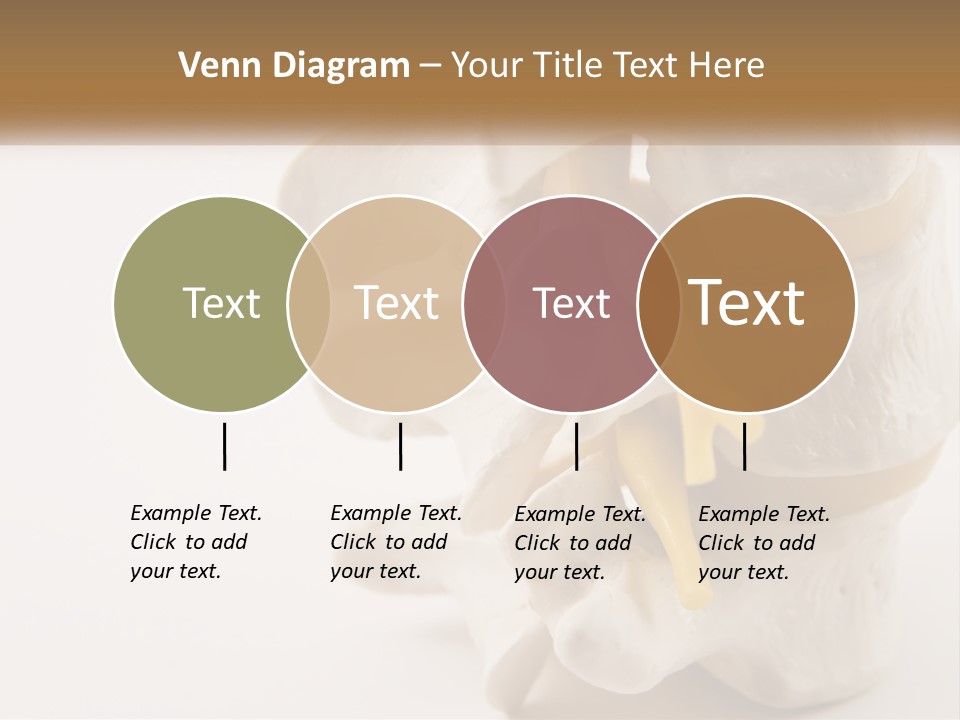 Exercise Arthroscopy Knee PowerPoint Template