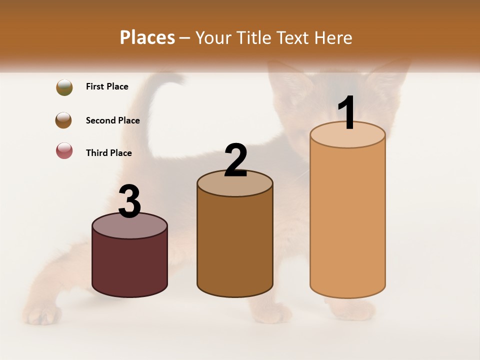 Switch Electricity Supply PowerPoint Template