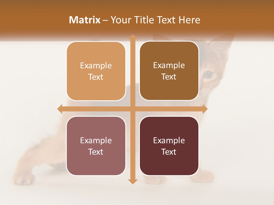Switch Electricity Supply PowerPoint Template