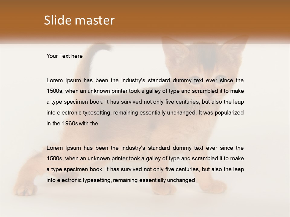 Switch Electricity Supply PowerPoint Template