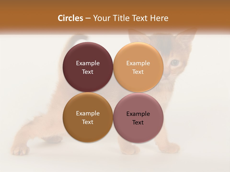 Switch Electricity Supply PowerPoint Template