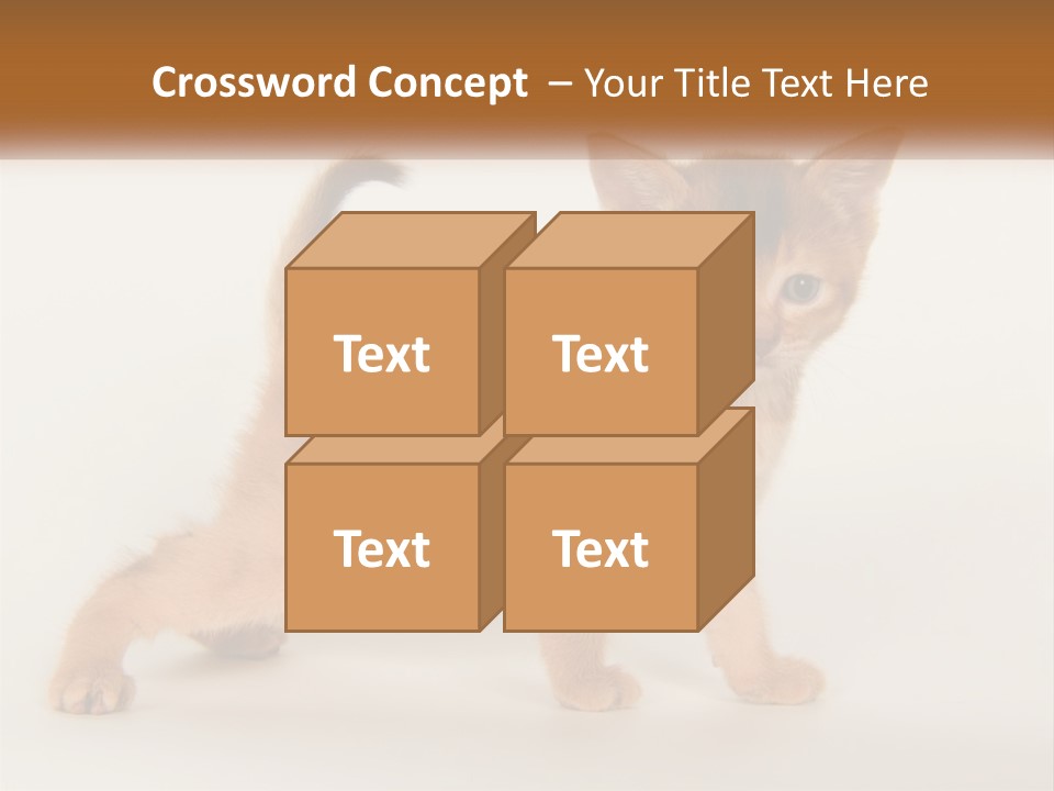 Switch Electricity Supply PowerPoint Template