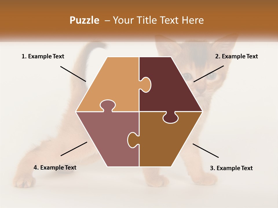 Switch Electricity Supply PowerPoint Template