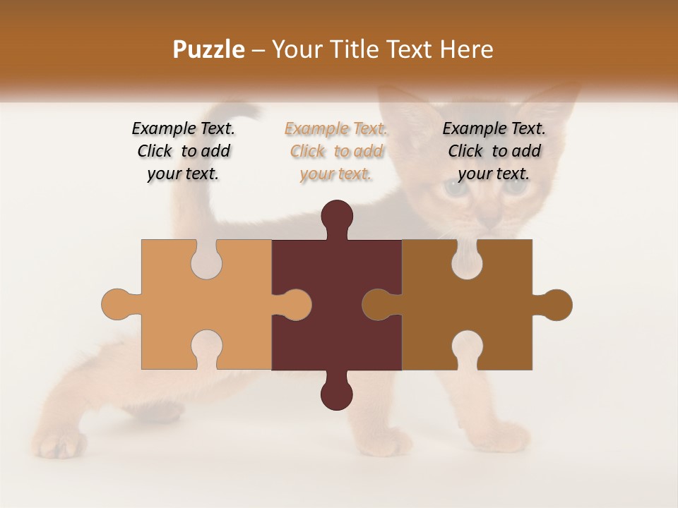 Switch Electricity Supply PowerPoint Template