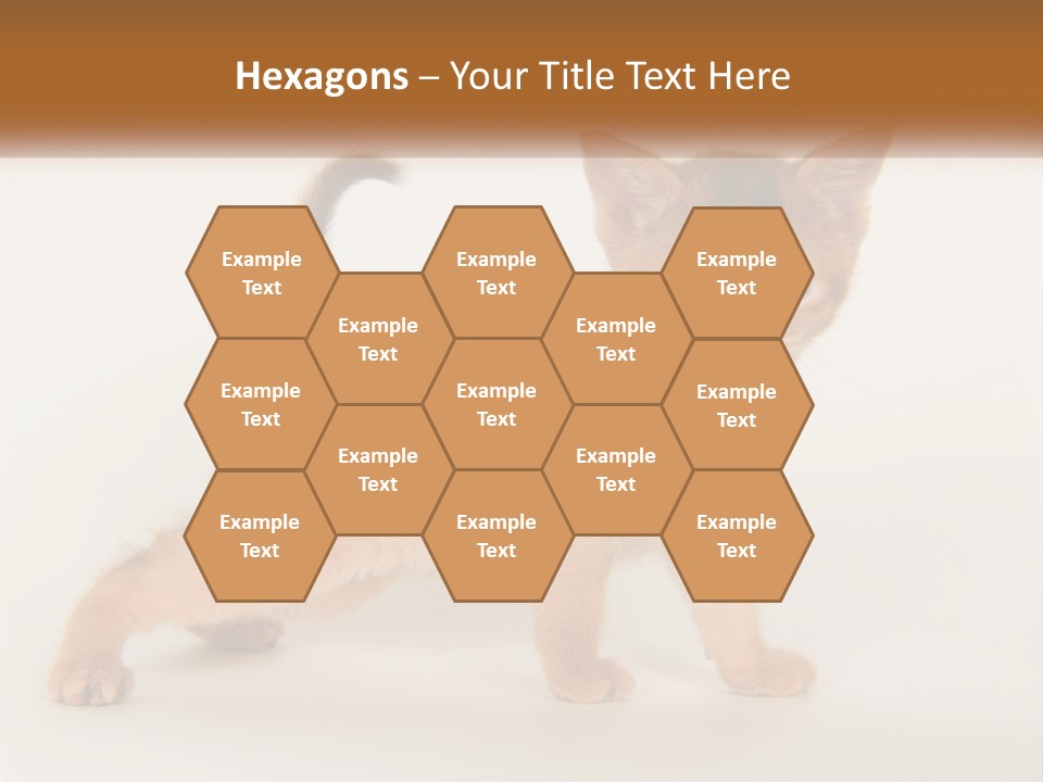 Switch Electricity Supply PowerPoint Template