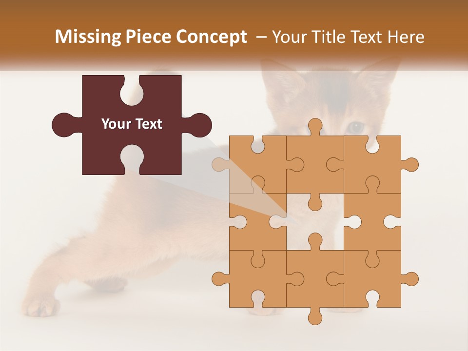 Switch Electricity Supply PowerPoint Template