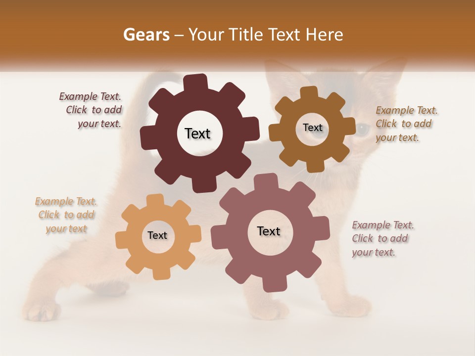 Switch Electricity Supply PowerPoint Template