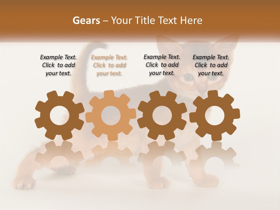 Switch Electricity Supply PowerPoint Template