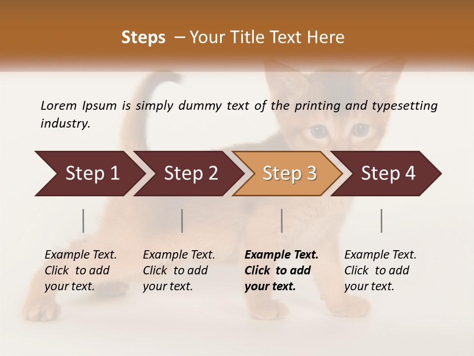 Switch Electricity Supply PowerPoint Template